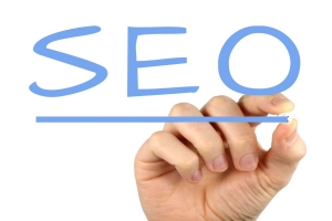 Ecommerce SEO Services Ecommerce SEO Services